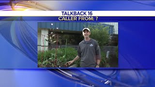Talkback Feedback Baboons Sloths Weather -