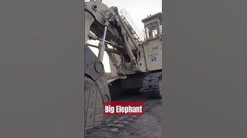 #BigElephant #mining #overburden #opencast #dumper #terex #backhoe #shovel