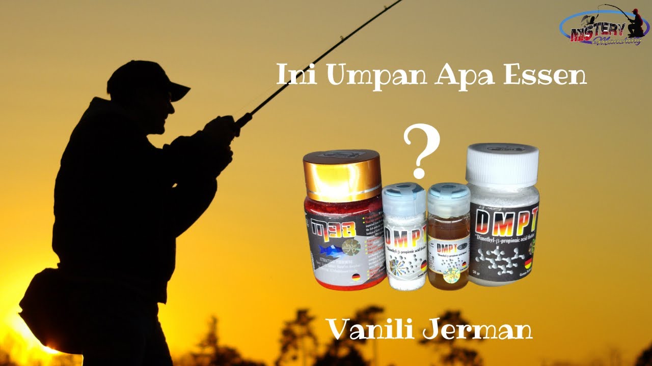 Umpan Attractant (Vanili Jerman) untuk Segala Jenis Ikan, Ikan Mas