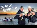 CATCHING &amp; COOKING our own dinner while camping!