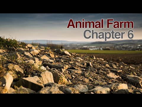 Animal Farm Chapter