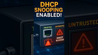 Dhcp Snooping Your Networks Hidden Bodyguard
