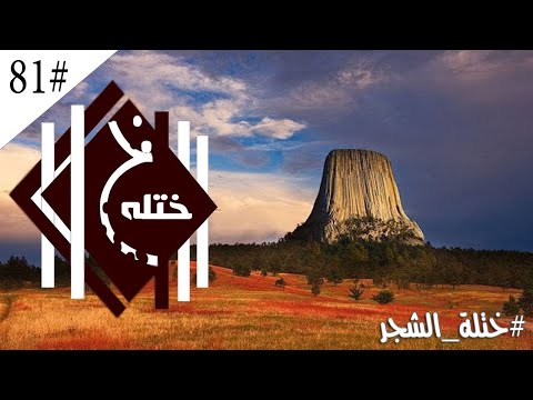 ختلة 81 مالا يريدون منك معرفته الشجر العملاق جدا