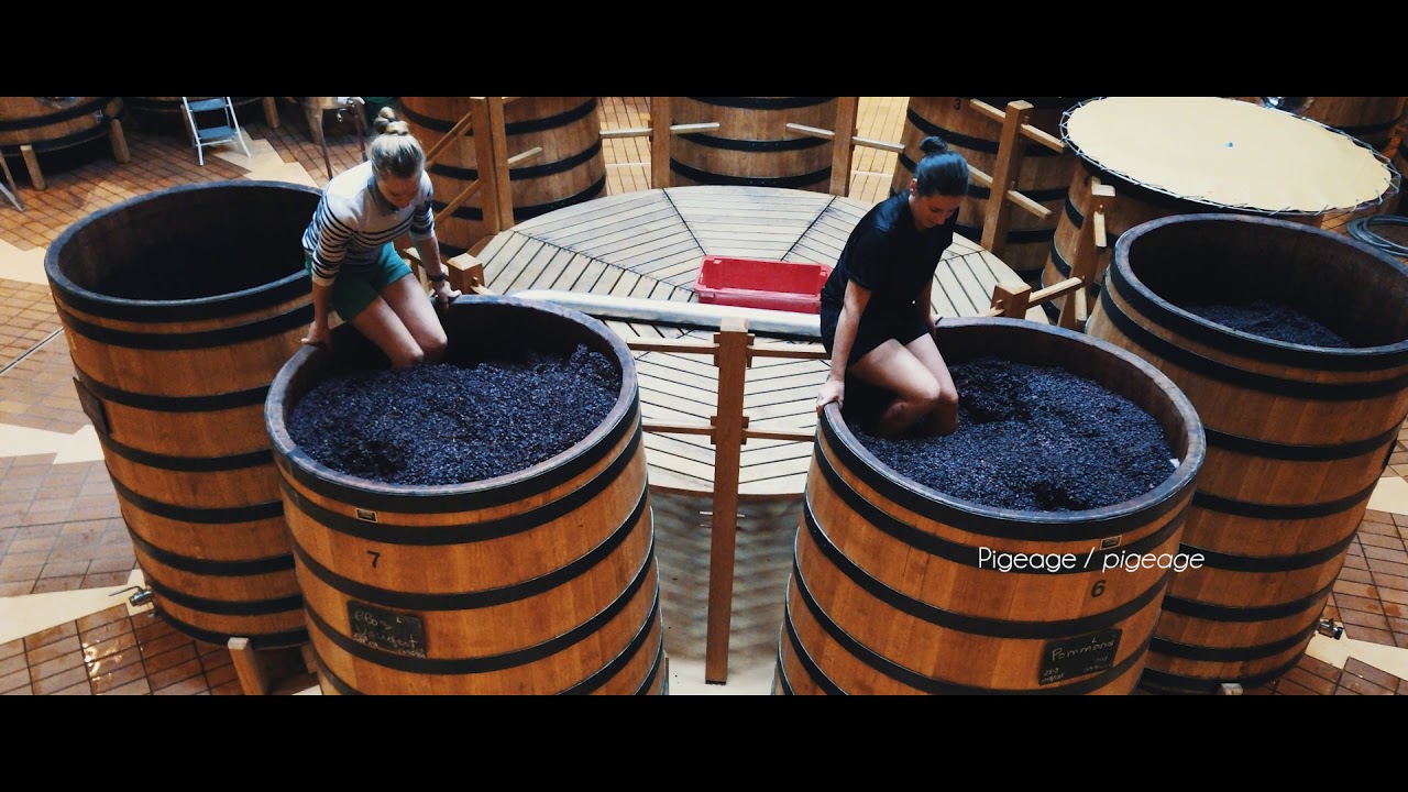 La vinification des vins rouges chez Louis Jadot