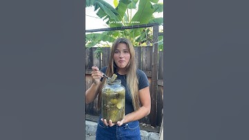 Traditional fermented pickles! No vinegar needed—just water, salt, and cucumbers🥒 #fermentation