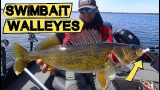 How to Fish Swimbaits for Spring Walleyes  Walleye Fishing