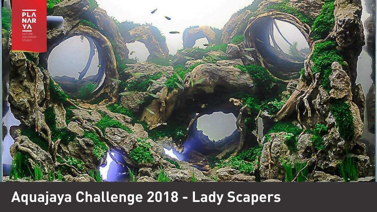 Aquajaya Challenge 2018 Scape War Lady Scapers Youtube - como tener robux 2018 septiembre by nestor montenegro