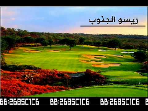 شيلات راكان القحطاني 2 