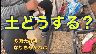 【多肉植物】【多肉初心者】土どうする⁉️    多肉大好き！なりちゃんパパ　多肉奮闘記その86