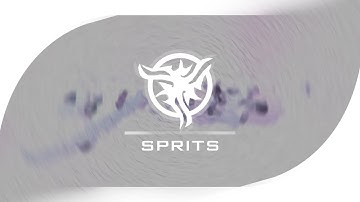 [Murtox] intro SpritsArts (something new :D)