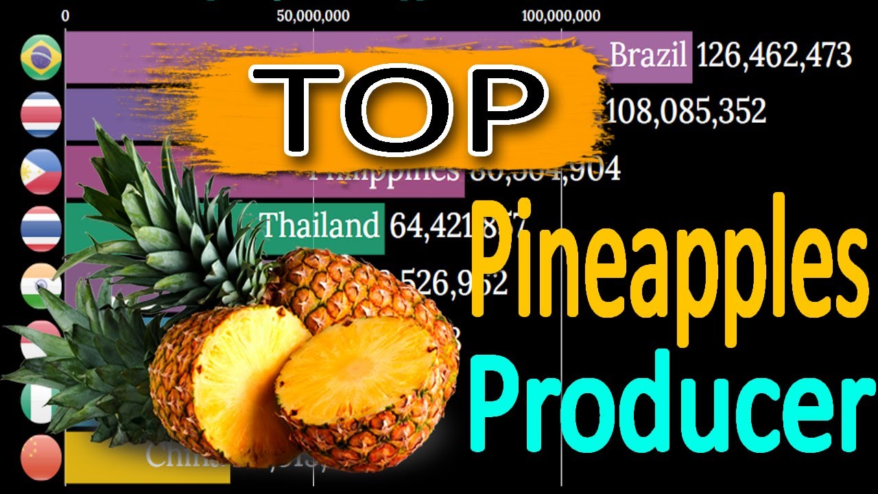 Top Largest Pineapples Producer Countries YouTube