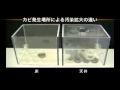 お風呂の天井カビを断てば、カビ掃除がグーンと楽に