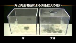 お風呂の天井カビを断てば、カビ掃除がグーンと楽に