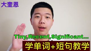 英文教学Tiny, Recent, Significant (短语加单词(大奎恩