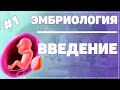 Эмбриология / Введение / ГИСТОЛОГИЯ ЧЕЛОВЕКА