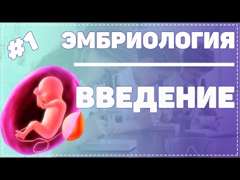 Эмбриология / Введение / ГИСТОЛОГИЯ ЧЕЛОВЕКА