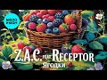 Z.A.C., Receptor - Ягодки (Official Video, 2025)