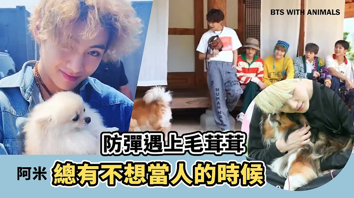 每当这种时候都不知道该羡慕谁?当防弹遇上毛茸茸 [BTS with Animals] - 天天要闻