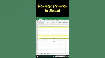 format printer in excel #shorts #format #painter
