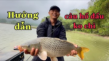 Cách Câu Hố Đấu Không Chì - Lk Hoà