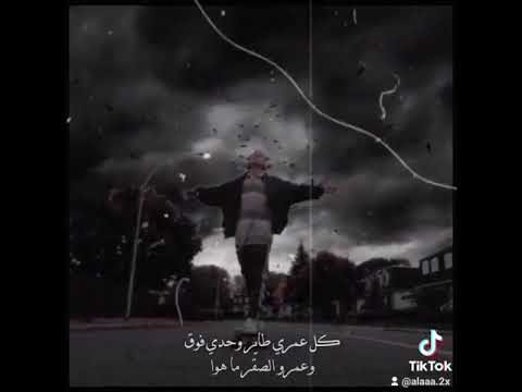 بحبك كلمه ببدا فيها تراكي حالات واتس اب حب ستوري انستا حب