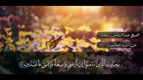 تلاوة ندية للقارئ عبدالرحمن مسعد..آيات من سورة العنكبوت 🌹🌹