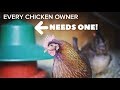 BACKYARD CHICKENS - 5 THINGS YOU MIGHT NOT HAVE BUT SHOULD (They will make your life easier)