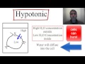 Understanding Osmosis and Cell Environments