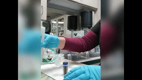 Fecalyzer Fecal Float