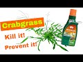 HOW TO KILL AND REMOVE CRABGRASS WITHOUT KILLING YOUR LAWN - 3 Steps To Success