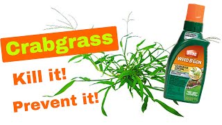 HOW TO KILL AND REMOVE CRABGRASS WITHOUT KILLING YOUR LAWN  3 Steps To Success