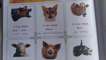 ENGLISH | STD-2 | LEC-1 | UNIT-6 (PART-1) | SEM-2 | PATHAK SCHOOL-AMRELI