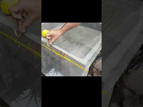 How to Cut