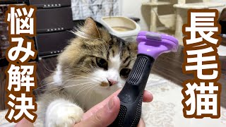 長毛種の悩み解決！猫の抜け毛を一掃できるファーミネーターの威力とは！？ by えぶりにゃん【ノアさんとこまちゃん日記】 786 views 3 years ago 3 minutes, 37 seconds