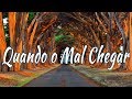 Quando o mal chegar  hino avulso ccb  daniel de itap  letra