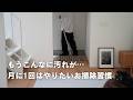 突然、お掃除スイッチが入った日｜雨の日のお掃除VLOG