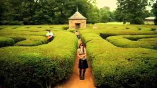 Swan Dive - Tender Love