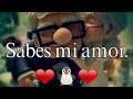 Hermoso video con las mejores frases de amor para dedicar a tu pareja 😍👫❤ #Frasesdeamor #Amor 💌💫