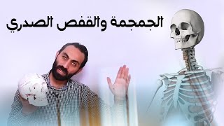 احياء - الصف الثالث الثانوي - الجمجمة والقف الصدري - نظام حديث 2022