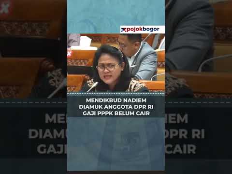 Anggota Komisi X