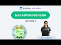 L3: Megasporogenesis | Sexual Reproduction Plants  (Pre-Medical: NEET/AIIMS) | Ritu Rattewal