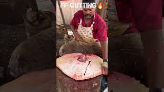 Kasimedu Speed Selvam Butterfly Ray Fish Cutting Video 