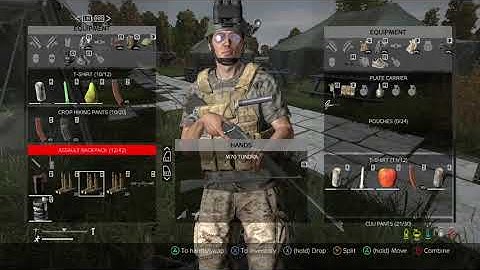 Day Z Red blinking health 2k