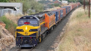 Classic Australian Diesels in Western Victoria! (SCT 7922V Dooen Freight) | C501 & CLF2