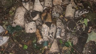 видео: Раскопки на мелководье старой викторианской свалки бутылок. Грязекуры и раскопки бутылок в Шотлан... картинка: Раскопки на мелководье старой викторианской свалки бутылок. Грязекуры и раскопки бутылок в Шотлан...