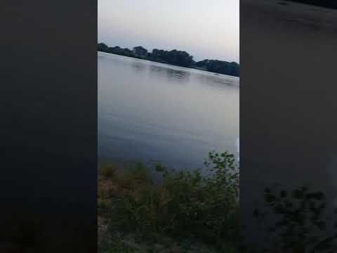 Video: Krasnodar-territoriet: floderne Kuban, Pshekha, Belaya, Kirpili, Eya