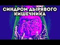 Мифы вокруг &quot;синдрома дырявого кишечника&quot;