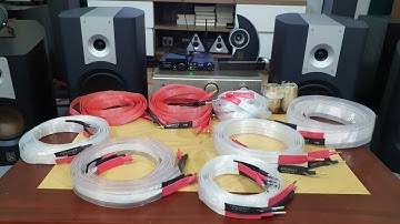 Toàn cực phẩm, những bộ dây loa ai cũng mong muốn có được