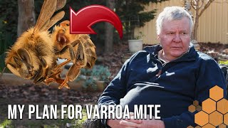 My Plans for the Varroa Mite Incursion: Navigating the Future of Beekeeping by The Bush Bee Man 13,218 views 10 months ago 6 minutes, 56 seconds