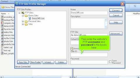 configuring your website in  ftp voyager.avi